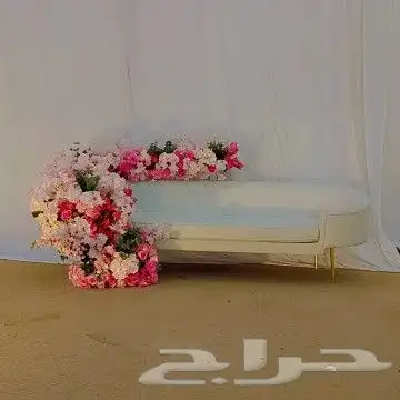 كوش_الجوف  الجوف_بلازا  صوير_هديب_الرفيعه_اللقايط_زلوم_اللق 3