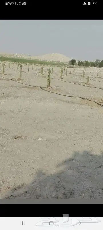 توريد وتركيب جميع انواع الشبوك 7
