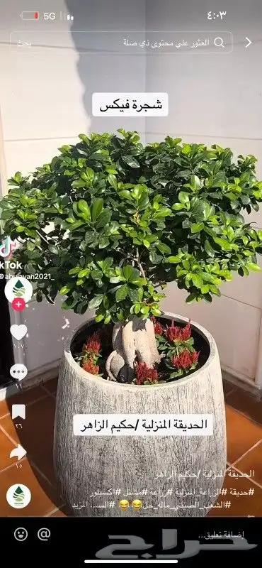 كل ما يخص الحدائق الزراعيه طبيعي وشبكات الري قص نخيل قص واشج 2