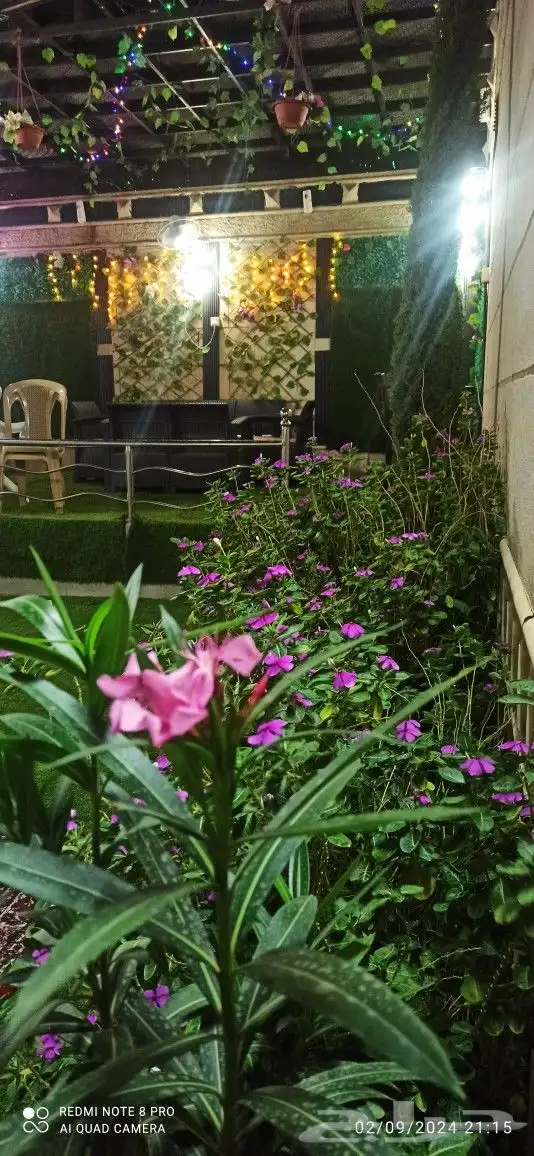 استراحة قسمين مسبح كبار ومسبح صغارألعاب مائيه وملعب صابوني م 36