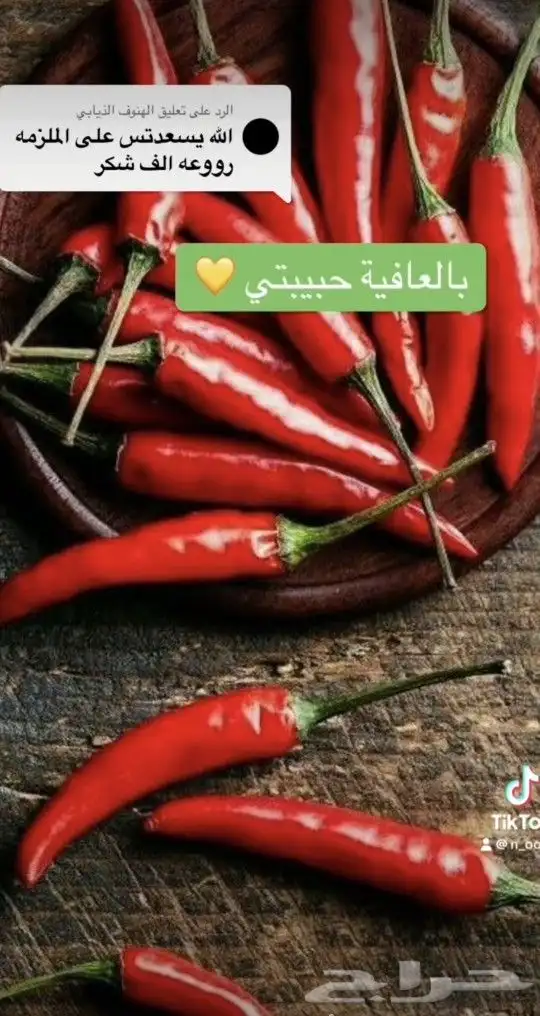 عالم الشطات وخلطات للعشاء والفطور ملفات PDF 18