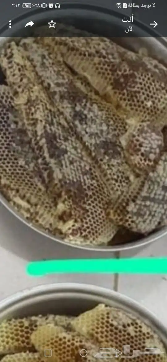 جده حي الفضل 3