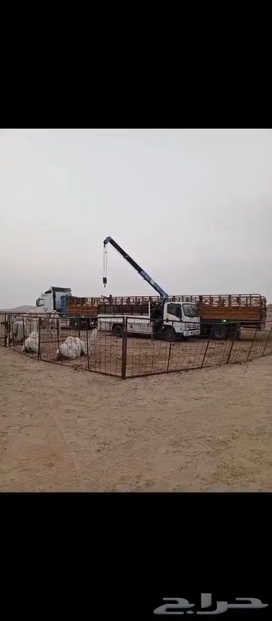 دنا دنه دينا ونش هيدروليك لنقل الإبل جنوب الرس 1