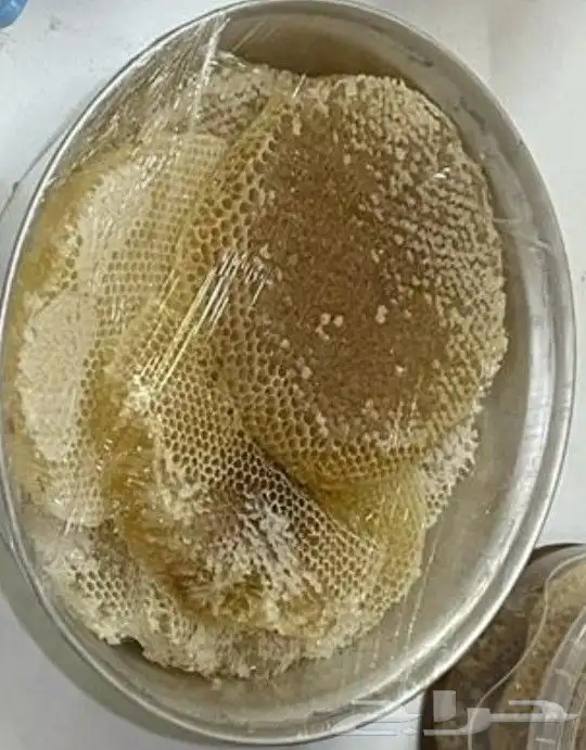 جده حي الفضل 5