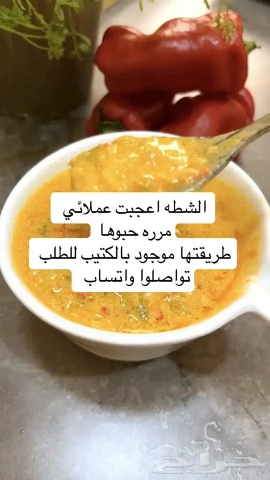 عالم الشطات وخلطات للعشاء والفطور ملفات PDF 1