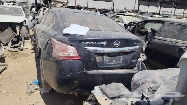 نسيان التيما نسيان مكسيما 2005 الي 2020 5