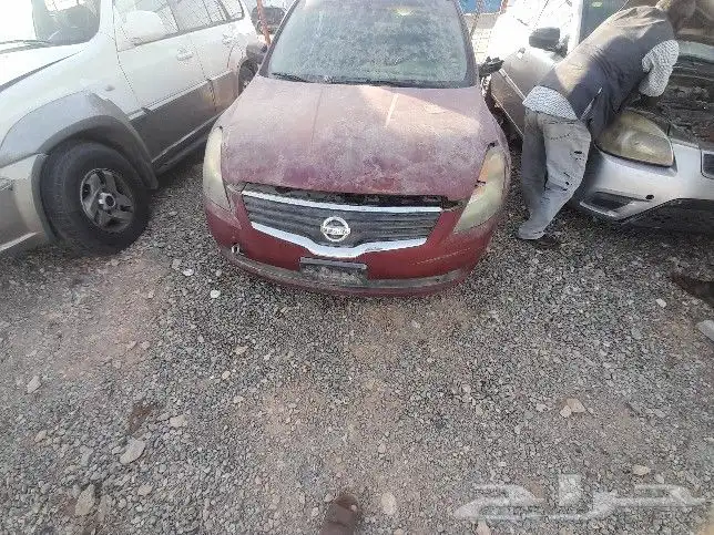 نسيان التيما نسيان مكسيما 2005 الي 2020 2