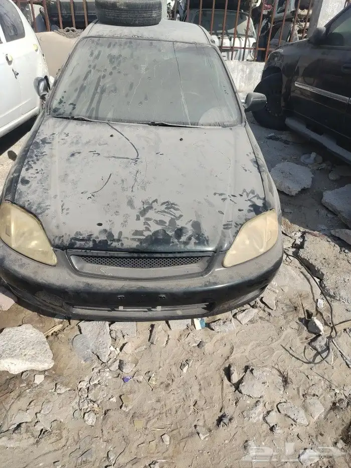 سفك 2002 3