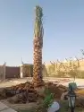 توريد وتركيب جميع انواع الشبوك 4