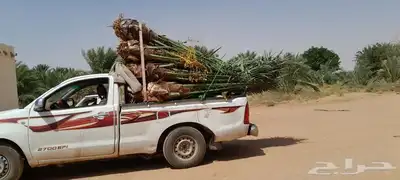 جميع أعمال النخيل 1