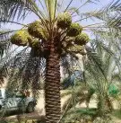 تسوير المزارع والأراضي البيضاء وتركيب شبوك الملاعب 2