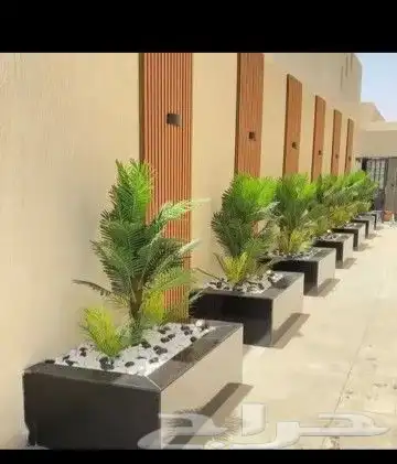 جارار صبيا بيش ضمد احد المسارحه الطوال صامت 1