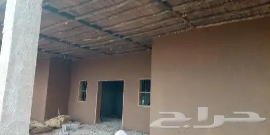 لتوريد النخل العربي والواشنطني والسياجات وأعمال التراث 4