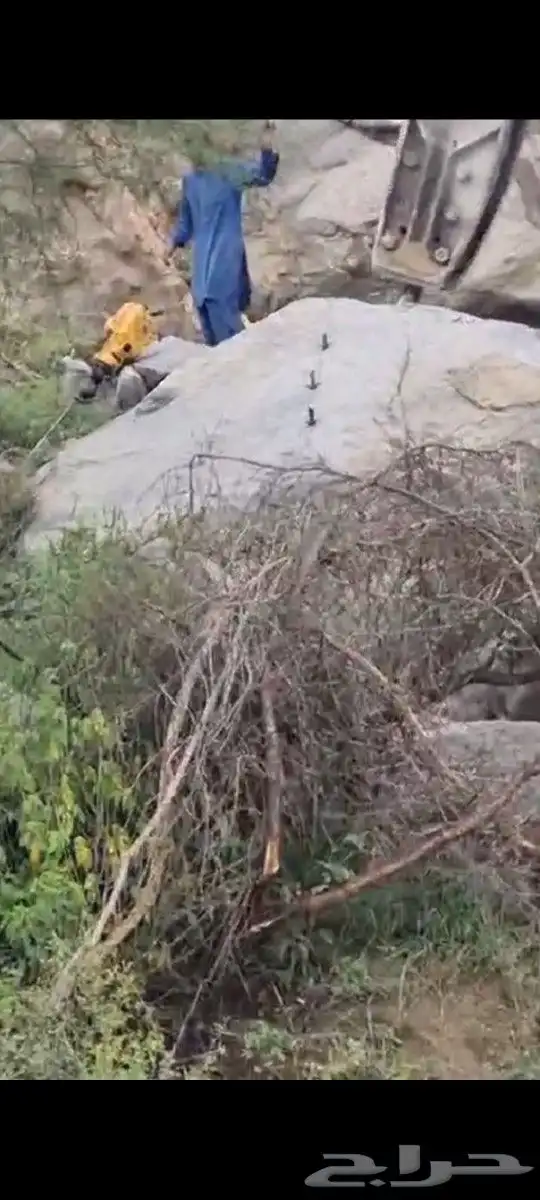 بريشم تكسير الحجر 0