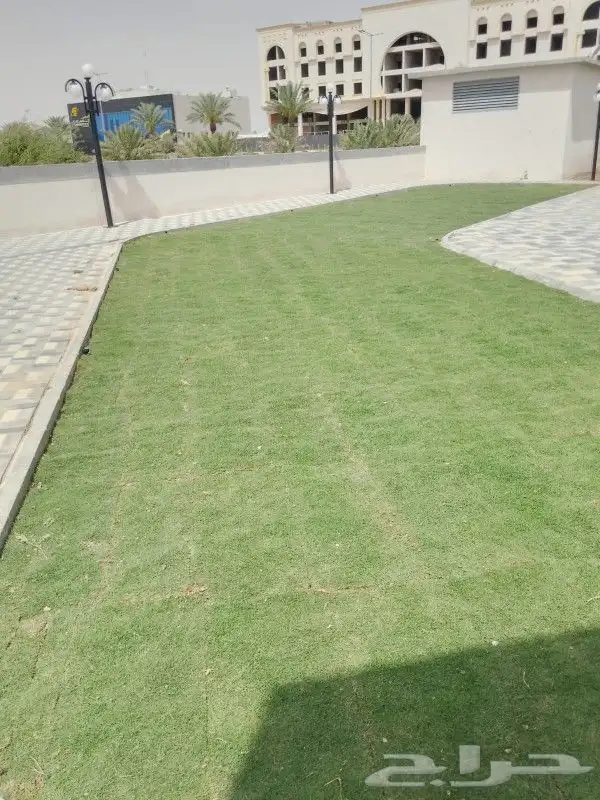 ثيل طبيعي سي2000 9