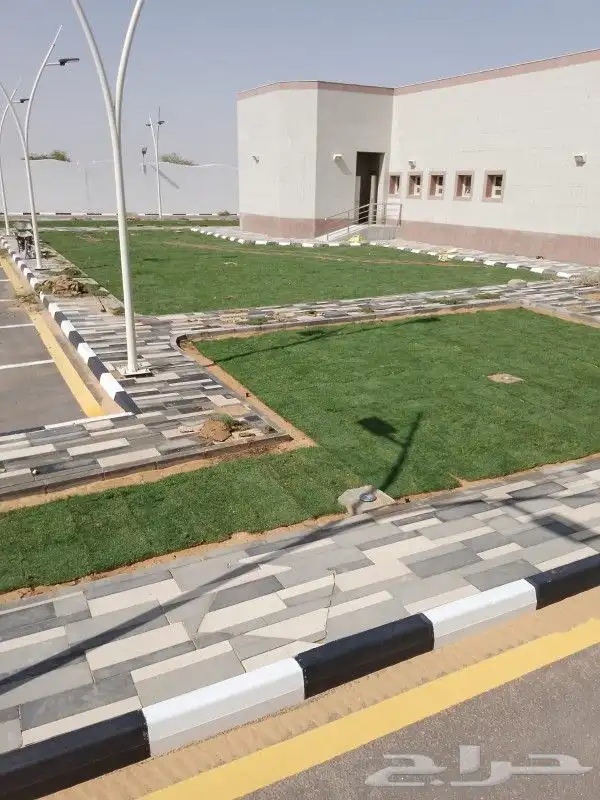 ثيل طبيعي سي2000 6