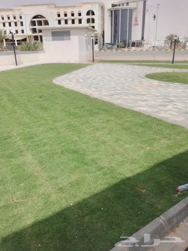 ثيل طبيعي سي2000 5
