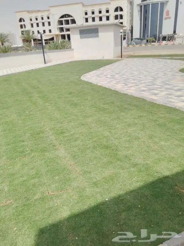 ثيل طبيعي سي2000 7