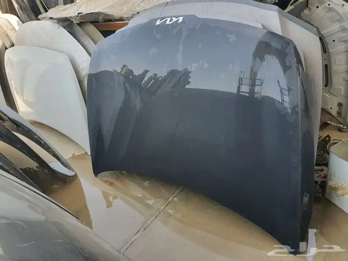 كبوت كياء سوبرتاج 2023 1