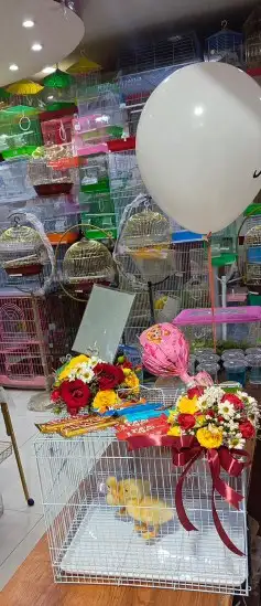 مفاجأت وهدايا اقفاص مزينه بالورود . بط . سمك . طيور 10