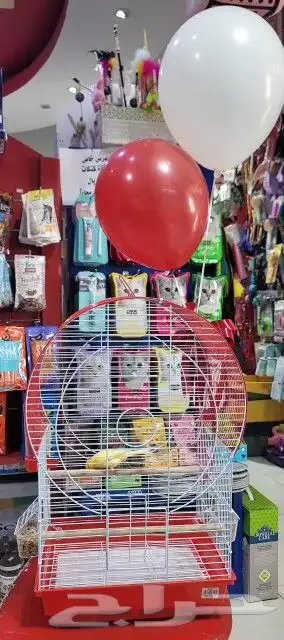 مفاجأت وهدايا اقفاص مزينه بالورود . بط . سمك . طيور 13