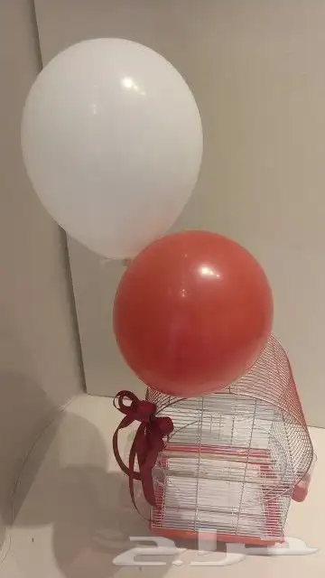 مفاجأت وهدايا اقفاص مزينه بالورود . بط . سمك . طيور 12