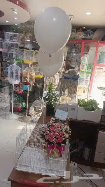 مفاجأت وهدايا اقفاص مزينه بالورود . بط . سمك . طيور 18