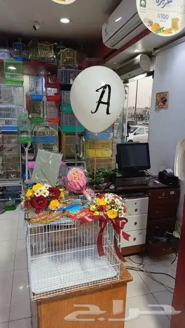 مفاجأت وهدايا اقفاص مزينه بالورود . بط . سمك . طيور 8