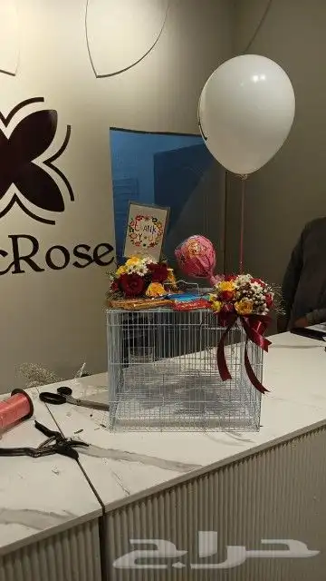 مفاجأت وهدايا اقفاص مزينه بالورود . بط . سمك . طيور 7