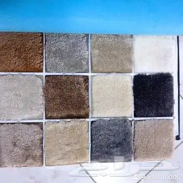 موقعنا فى بيشه 3