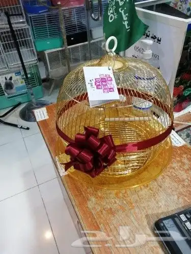 مفاجأت وهدايا اقفاص مزينه بالورود . بط . سمك . طيور 16