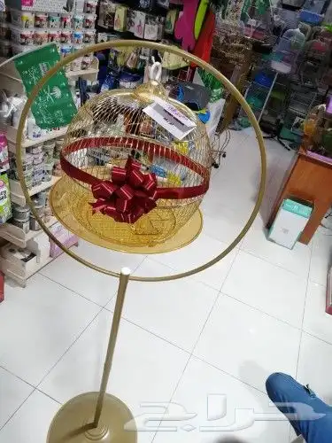 مفاجأت وهدايا اقفاص مزينه بالورود . بط . سمك . طيور 9