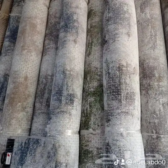 موقعنا فى بيشه 4