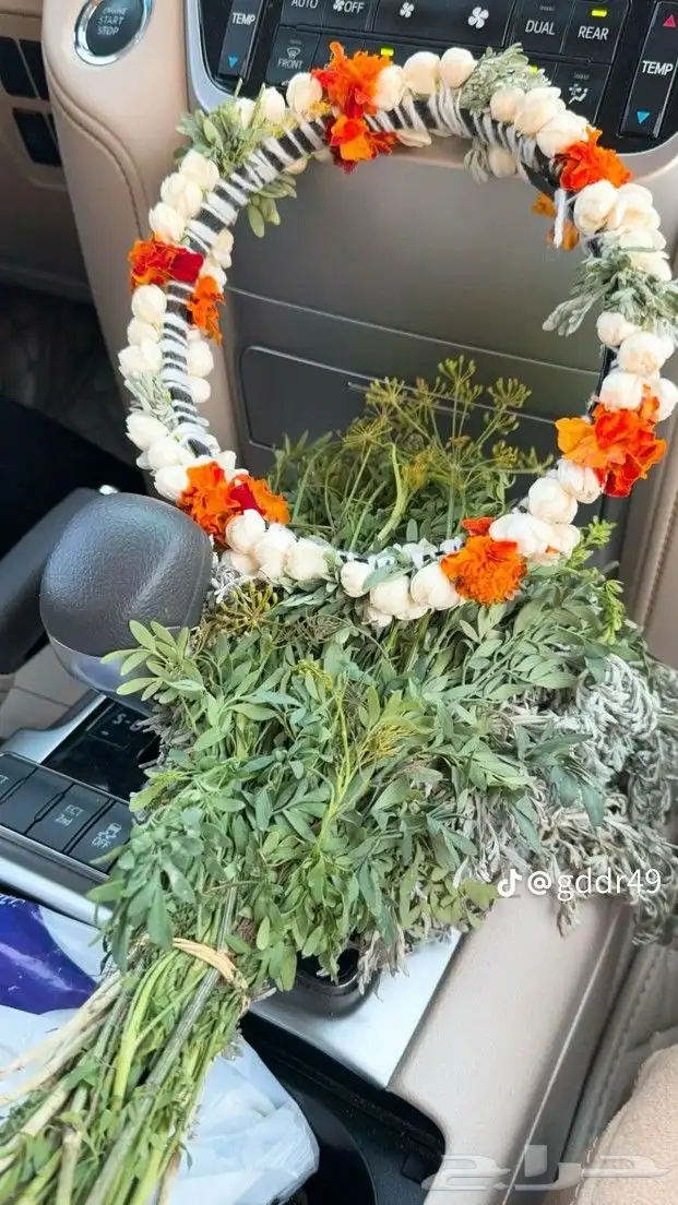 فل زهور الرياض 1