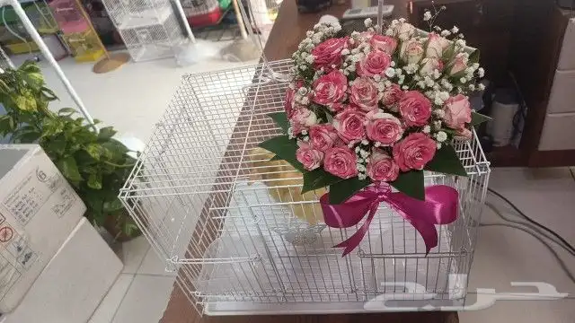 مفاجأت وهدايا اقفاص مزينه بالورود . بط . سمك . طيور 17