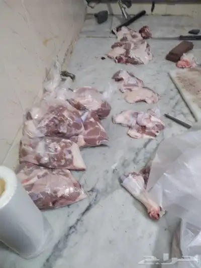 حلال الديرة لبيع الذبايح مع خدمةالذبح والتوصيل حسب طلب العمي 0
