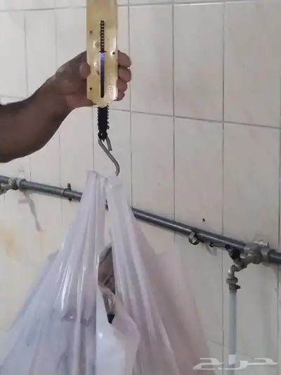 حلال الديرة لبيع الذبايح مع خدمةالذبح والتوصيل حسب طلب العمي 2