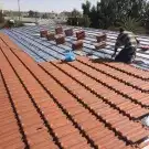 مظلات وسواتر نيوم 44