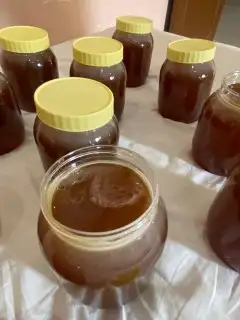 جده حي الفضل 15