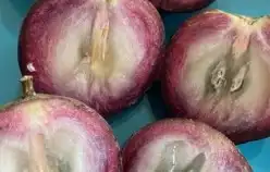 شتلات التفاح النجميapple star 6
