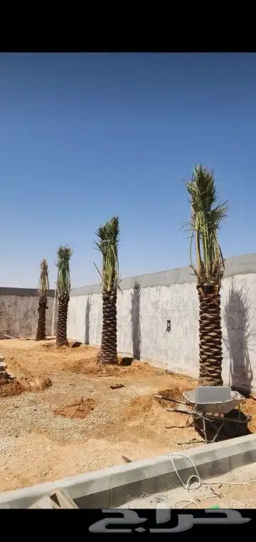 جميع انواع انخيل 8