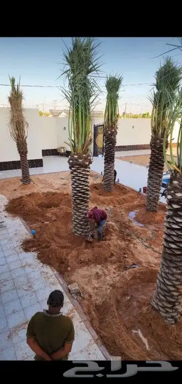 جميع انواع انخيل 7