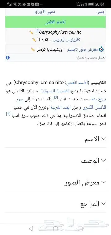 شتلات التفاح النجميapple star 12