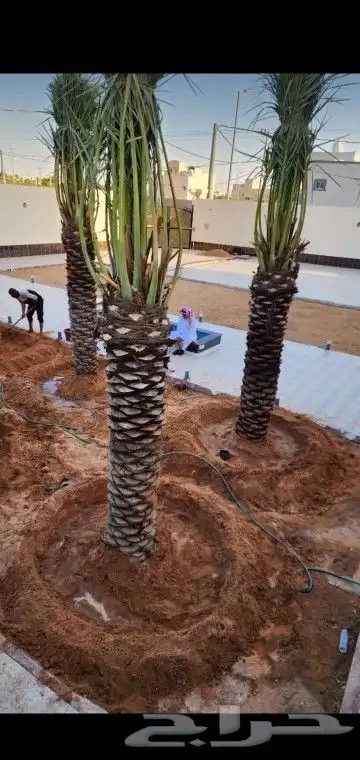 جميع انواع انخيل 3