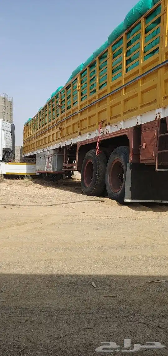 نشارة دواجن خميس مشيط 2