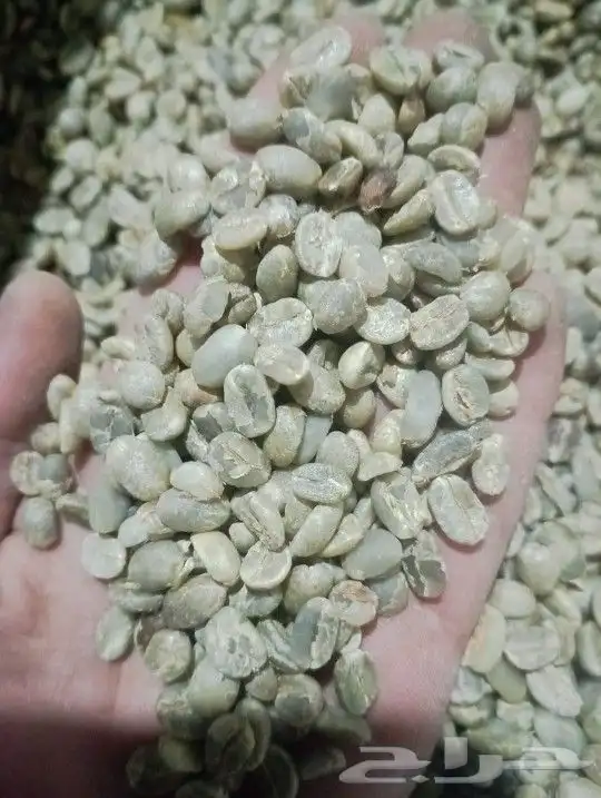 البن الخولاني اليمني 1