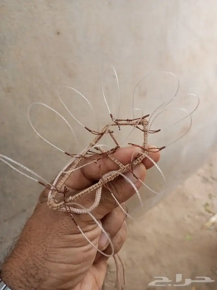 شبك لصيد الصقور 0