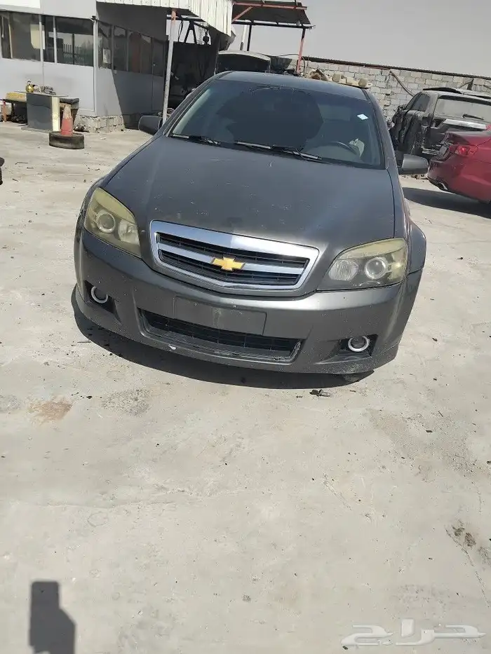 كابرس 2012 1
