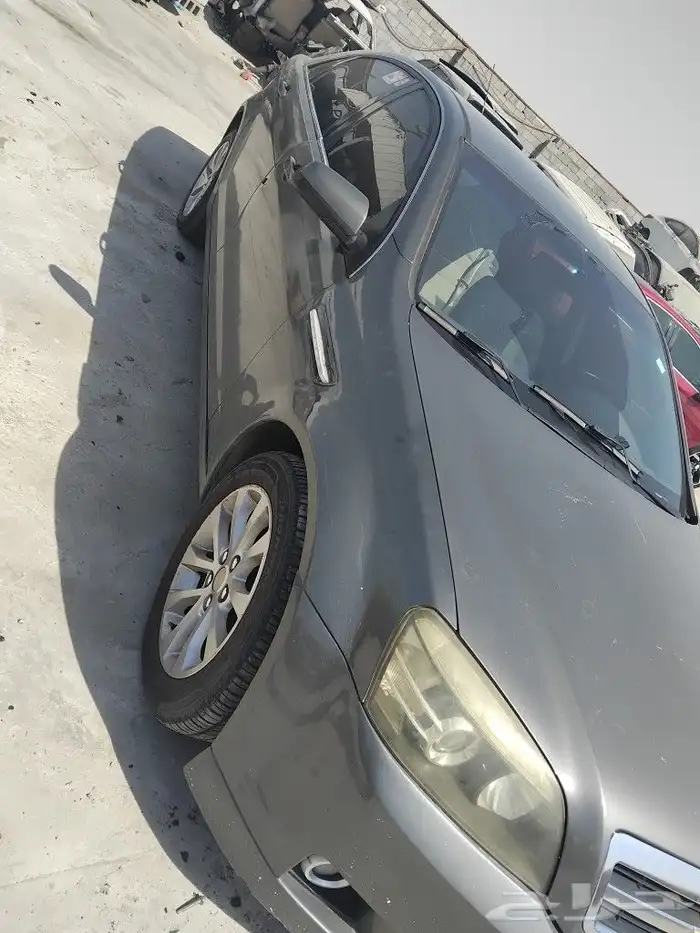 كابرس 2012 3