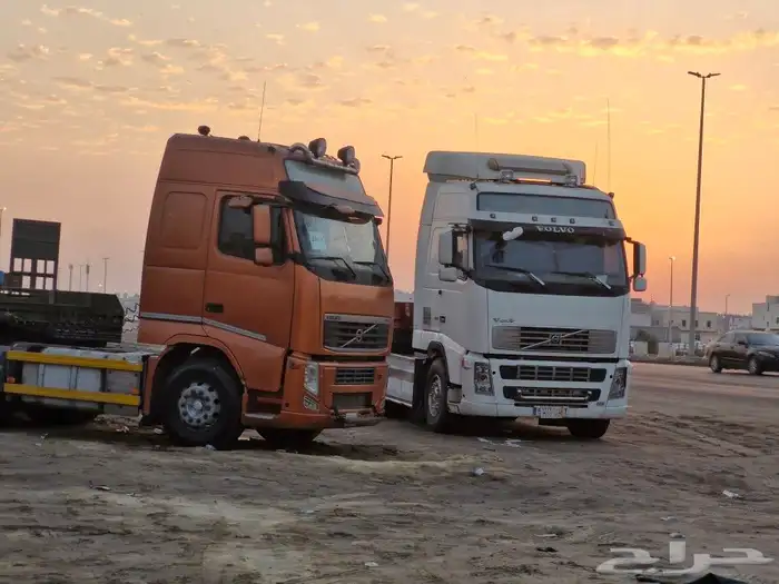 لوبد الدمام 0